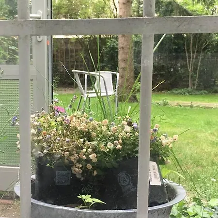 公寓 Ground Floor In In Charlottenburg Garden View 柏林